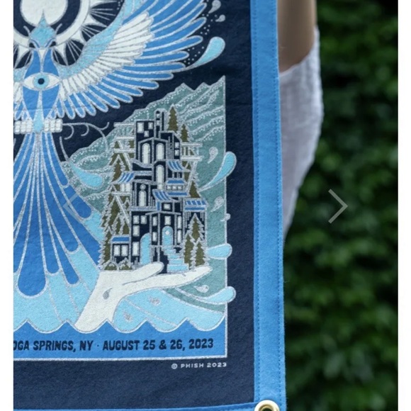 PHISH SPAC Flood Recovery Benefit x Oxford Pennant Flag Brian Steely SOLD OUT - Picture 7 of 9